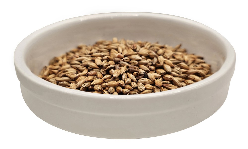 Home Brew Ohio CaraRed Grain 1lb