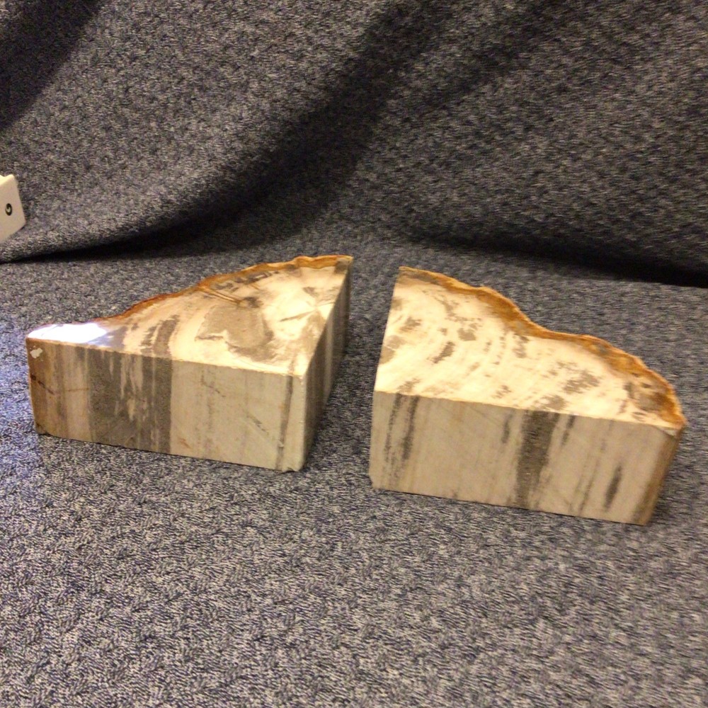 Stone Bookends Petrified Wood Natural Edge Pair