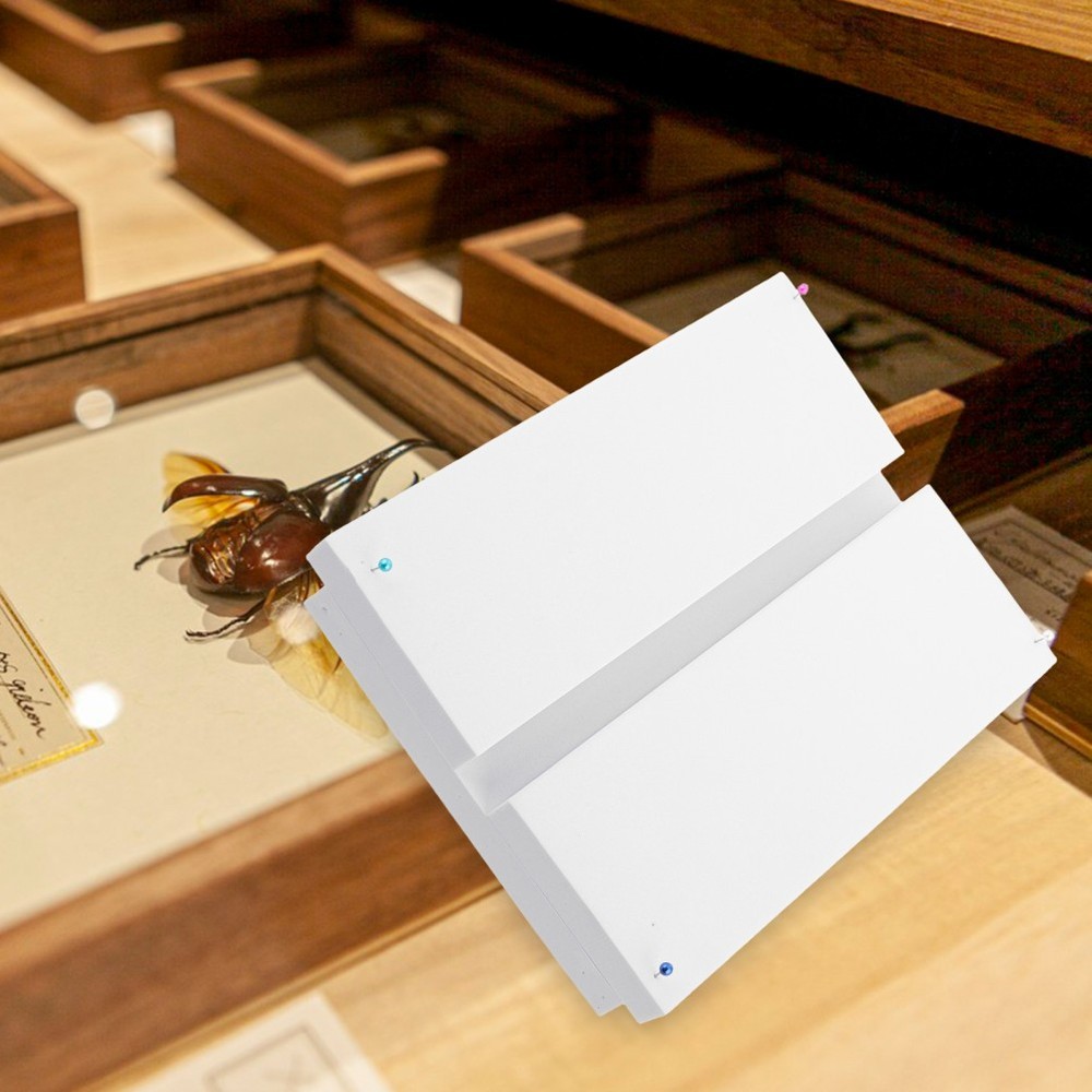 Specimen Display Board Insect Mounting Plate Butterfly Preservation