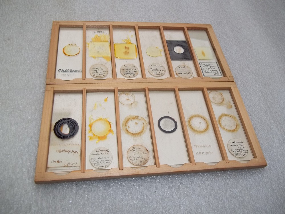 Antique Glass Microscope Slides