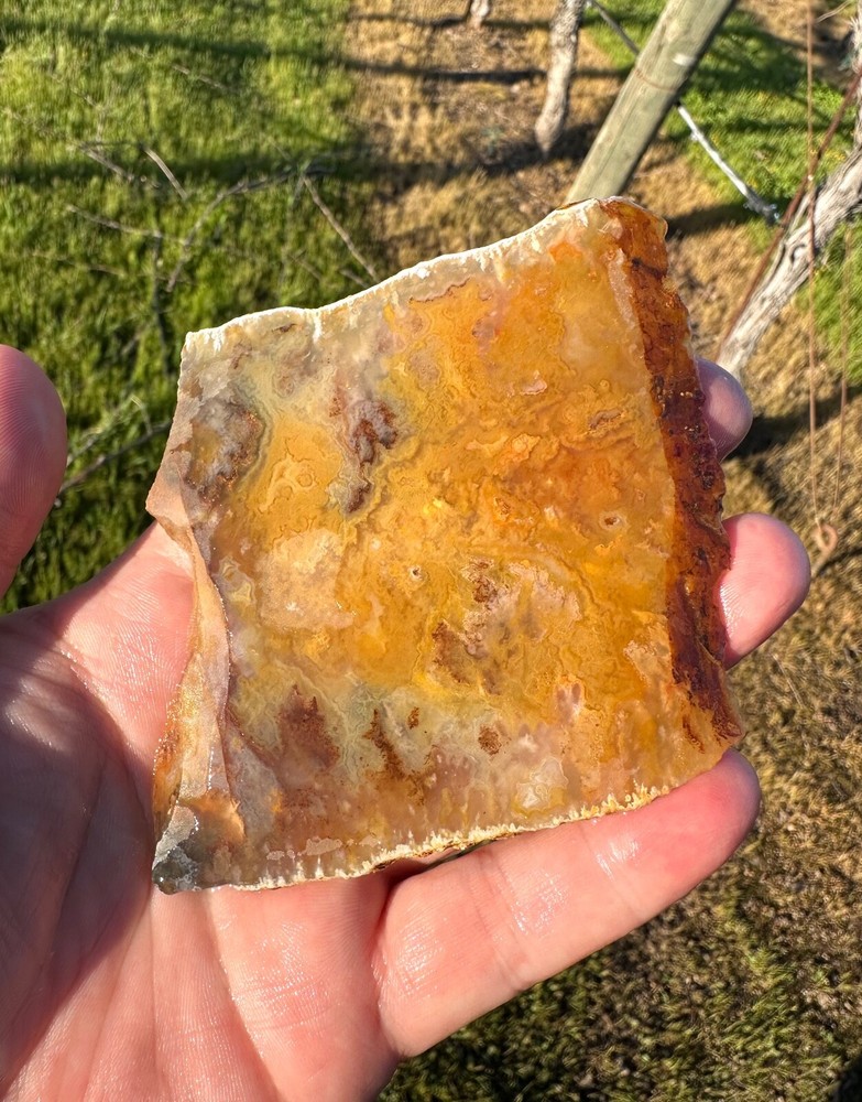 Graveyard Point Plume Agate Slab, 86 grams, Cabbing/Lapidary