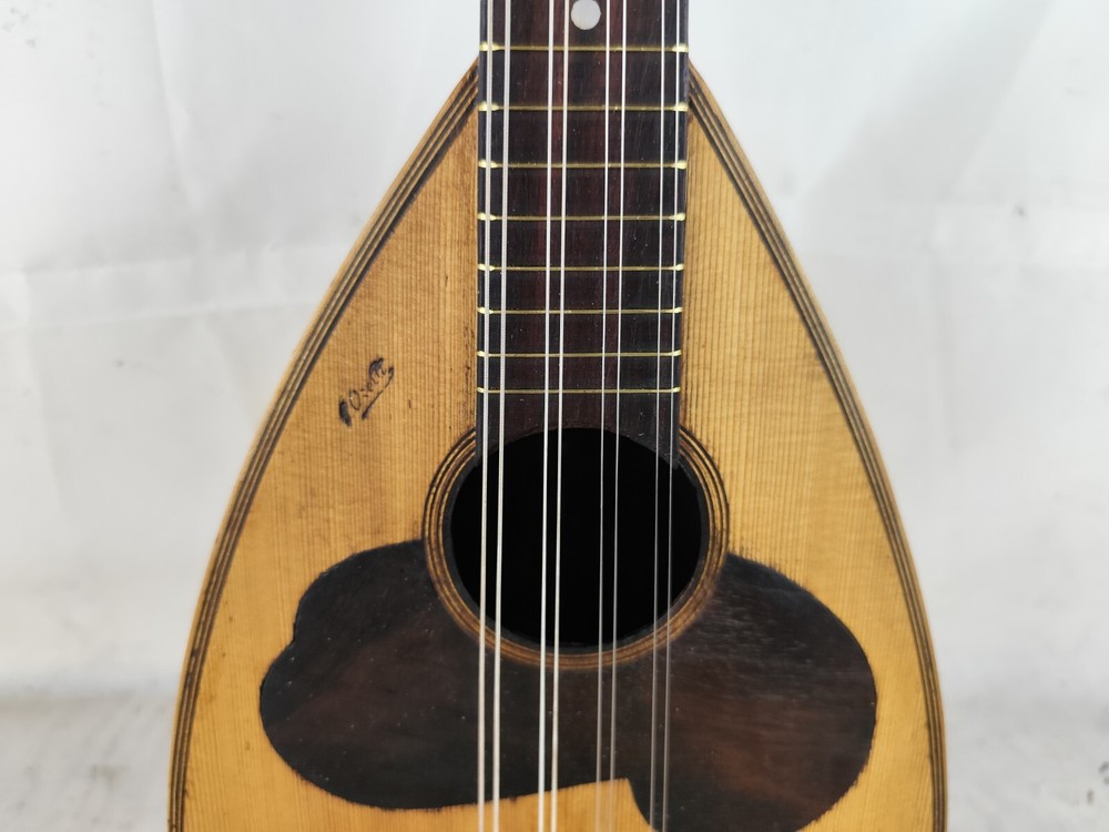 Mandolin 4/4 Ozelli 1900 Naples 曼陀林 만돌린マンドリン