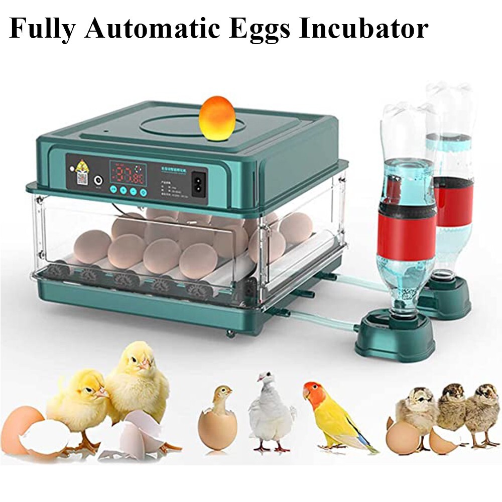 15 Eggs Incubator Fully Automatic Turning Temperature Control Egg Lamp Chic Bird