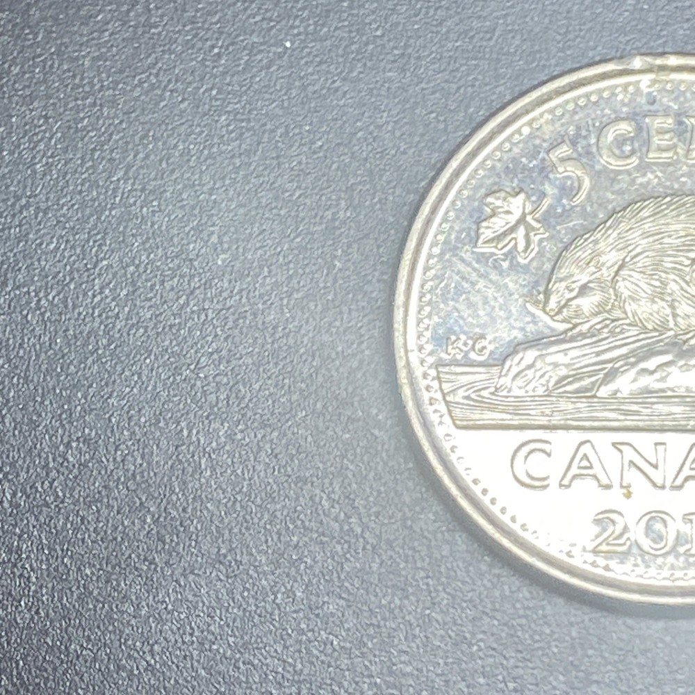 2016 Canada 5 Cent Good Condition Specimen Coin