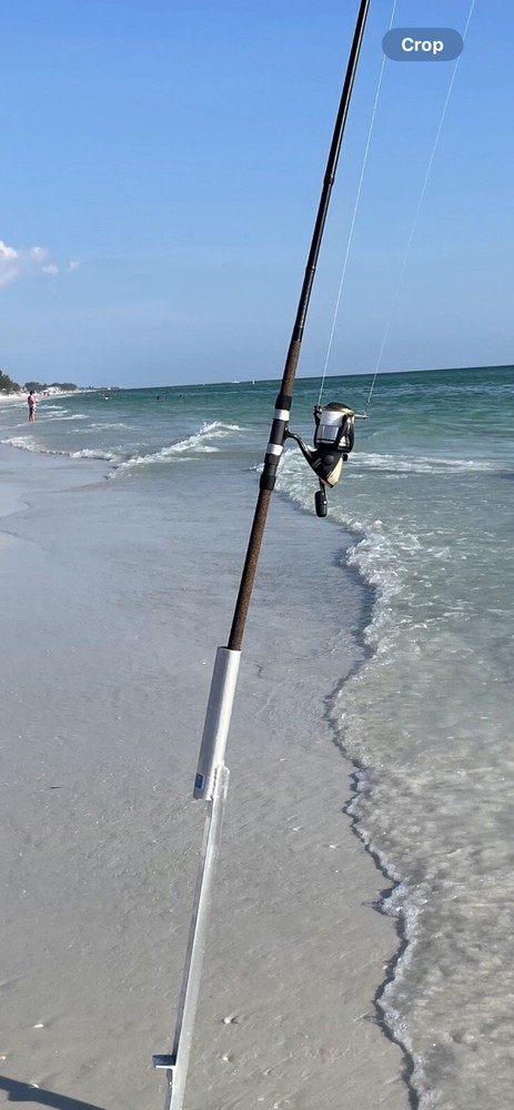 fishing rod For Surf