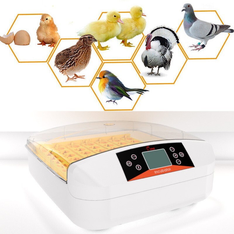 56 Eggs Automatic Egg Incubator Bird Poultry Hatcher Breeder Digital Display