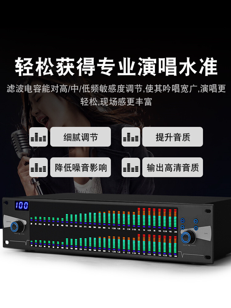 Dual 31-band Digital Equalizer with Pressure Limiting Function Djustable EQ