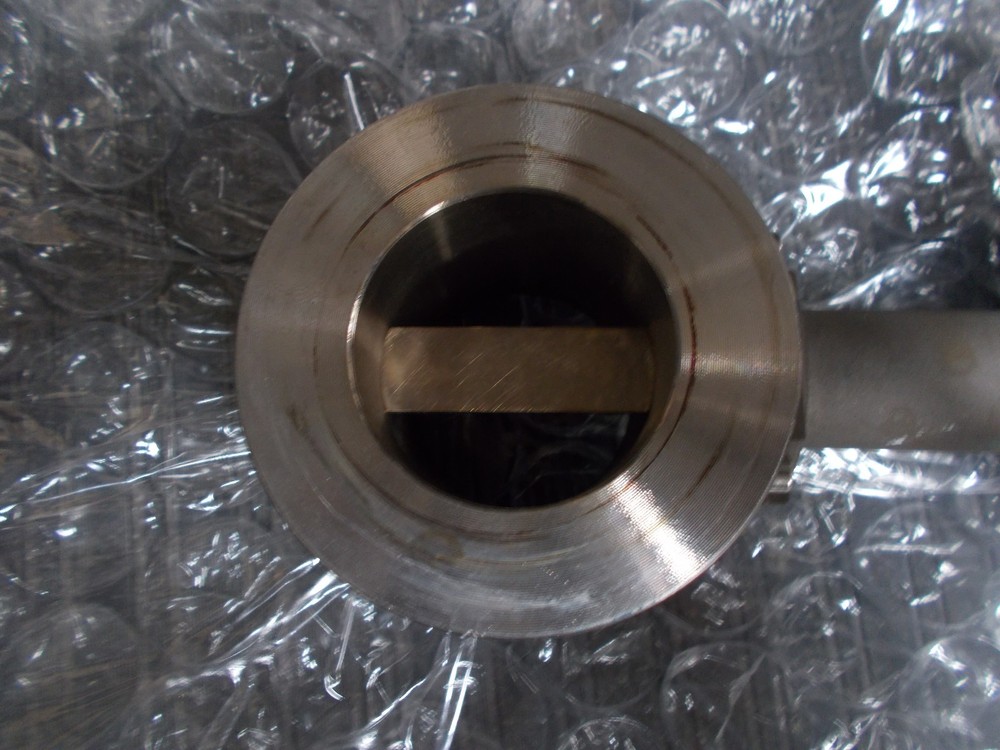 Endress + Hauser Swingwirl II DMV6336Z