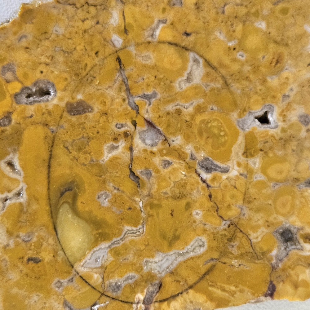 Yellow Jasper Lapidary Slab 49 grams