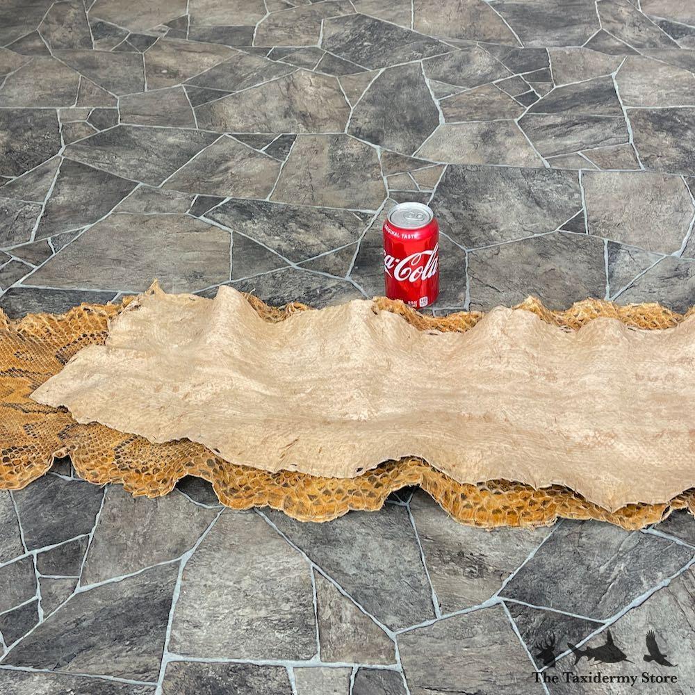 #26283 E | African Rock Python Snake Skin Rug Mount For Sale
