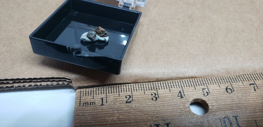 Beautiful Penroseite thumbnail specimen