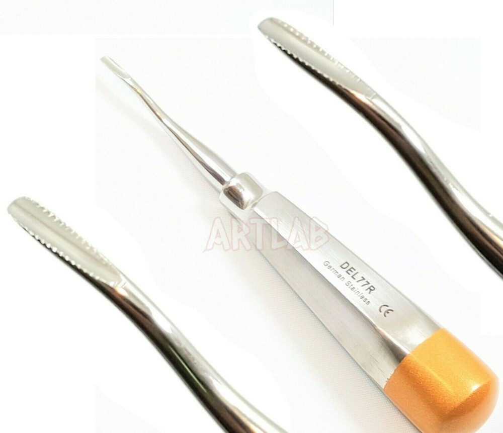 5 EA German Premium Root Dental Tooth Extracting Elevator # 77R-Dental Elevators