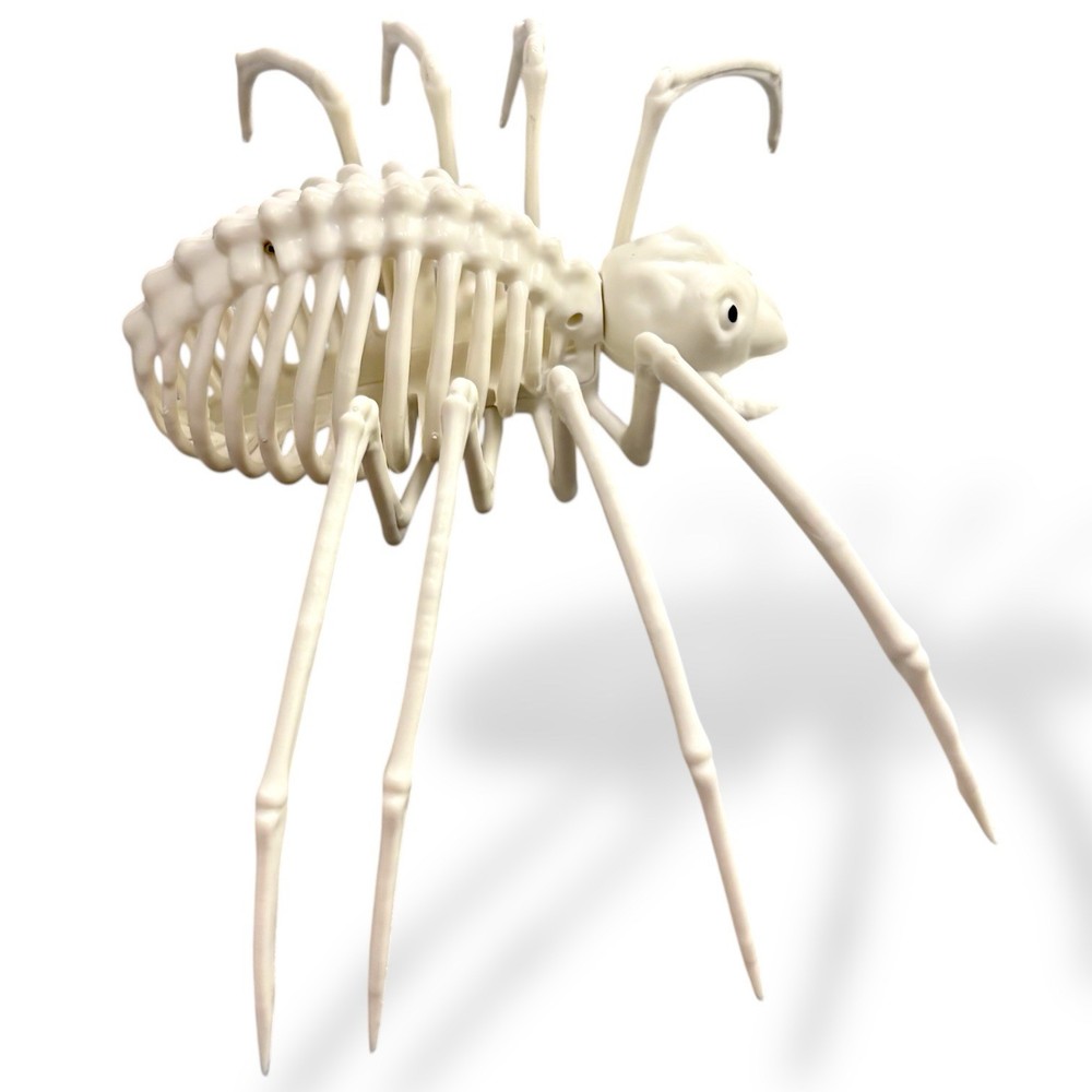 Large Skeleton Spider Halloween Decor Prop Plastic Bone Ribcage 14” Leg Span