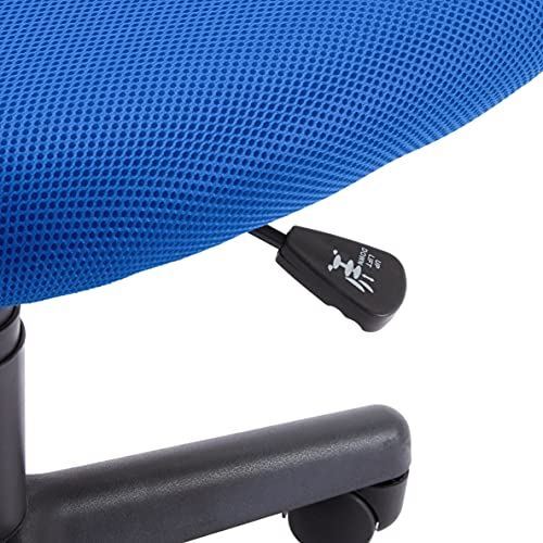 Amazon Basics Low-Back Computer Task Office Desk Chair with Swivel Casters - Blu