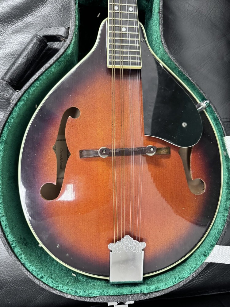 OSCAR SCHMIDT OM 10, Hard Case Great Shape