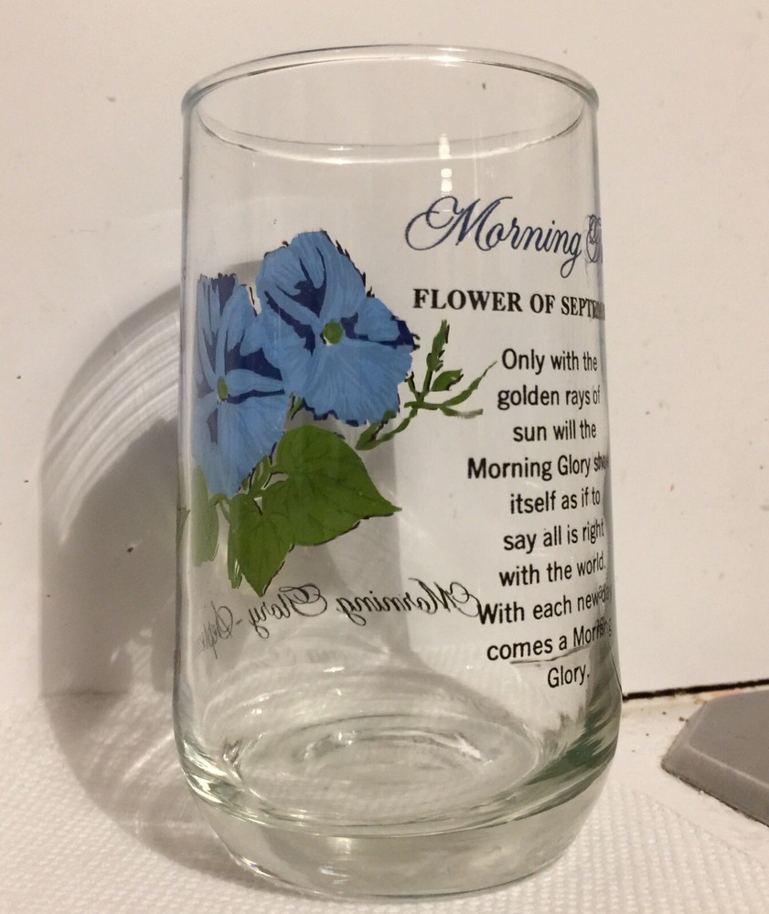 Morning Glory September Drinking Glass Tumbler