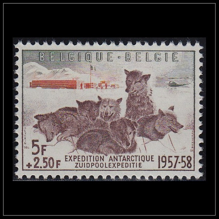 Belgium 1957 (1030) Dogs
