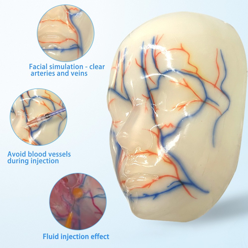 Facial Micropigmentation Training Model One-to-one Normal Female Face Repeatable