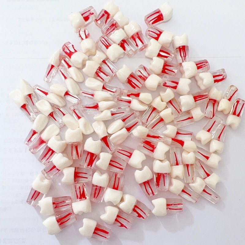 10pcs Dental Root Canal Practice Teeth Model Pulp Cavity Study RCT Endo Practice