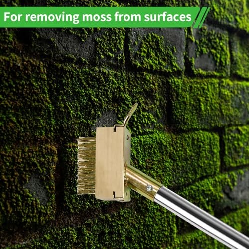 3-in-1 Multi-Function weed puller tool set: Crack Weeder, Moss Scraper Brush &