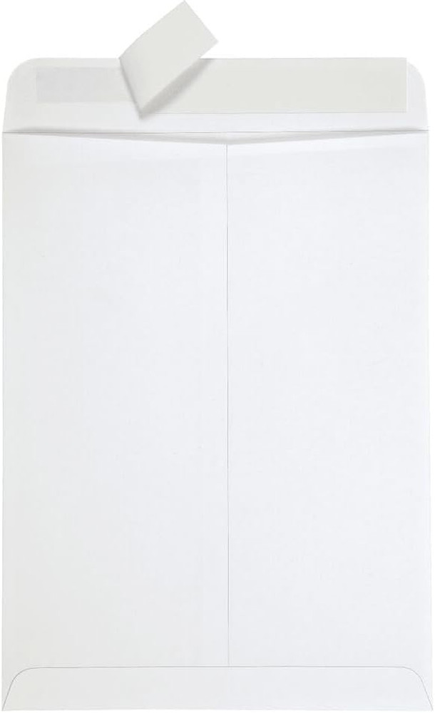 9 X 12 Catalog Envelopes, 100 Pack, Document Envelopes with Self Seal Closure, H