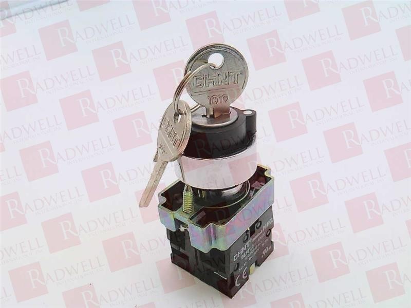 CHINT NP2-BG25 / NP2BG25 (NEW IN BOX)