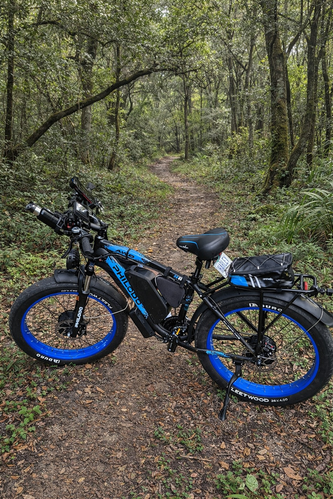phildo ebike
