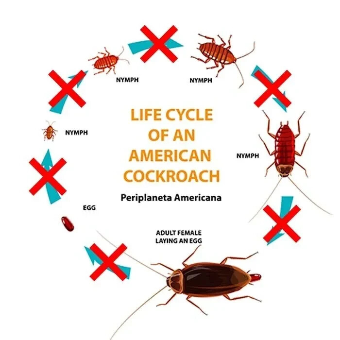 20 Discs Gentrol Point Source Insect Growth Regulator Roach Pantry Pest Control