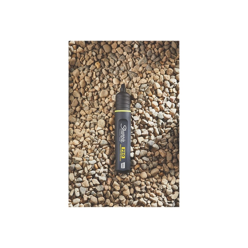 Pro Permanent Marker, Medium, Chisel Tip, Black, 12 Count (2018326)