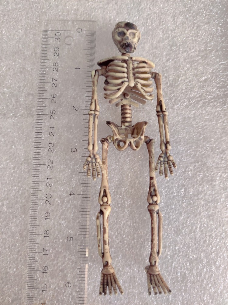 Halloween Skeleton Pair Props (Plastic)