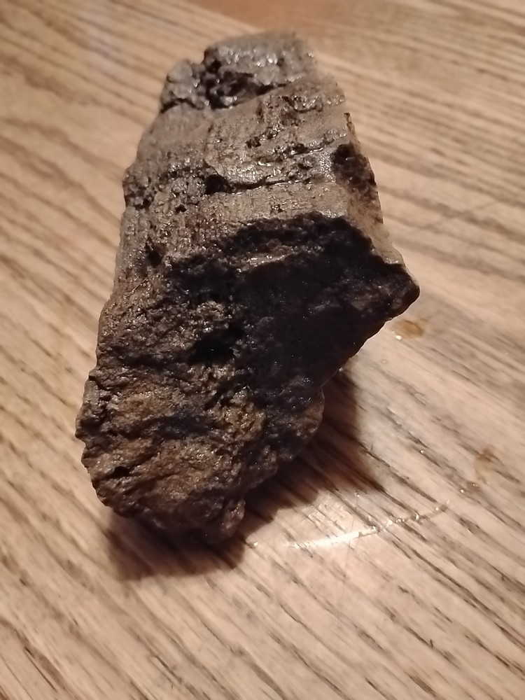Petrified Wood 738g (Outer Bark)