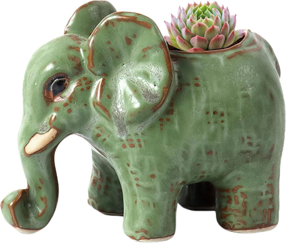 Cute elephant-shaped ceramic succulent planter.