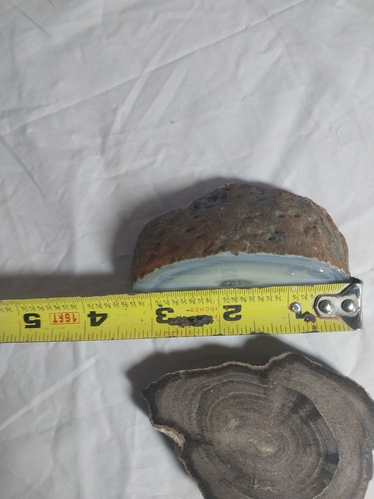 Petrified Wood, Half Geode Polished