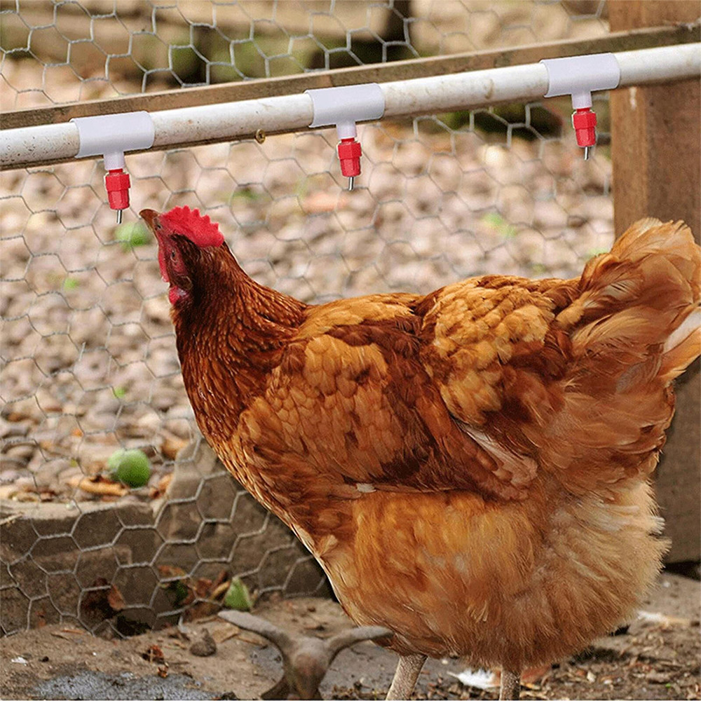 Poultry Water Dispenser Accessories Chicken Drinking Three-way Connection Tool