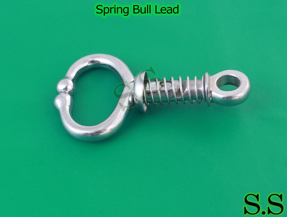 Spring Bull Lead Veterinary Instruments New