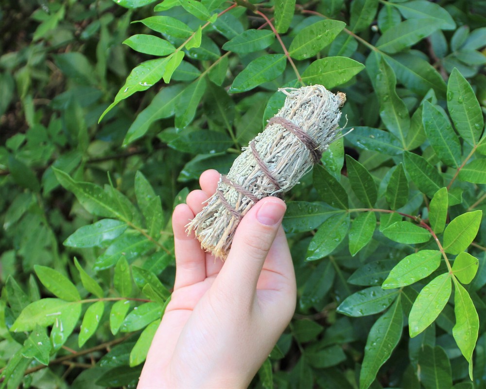 Desert Sage Smudge Stick 3" - 4" Bundle (Wand Incense Remove Negative Energy)