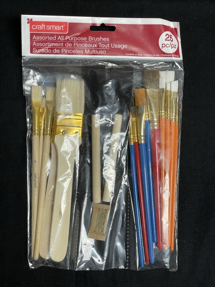 Craft Smart Assorted All Purpose Brushes 25 Pcs NEW