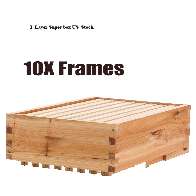 Bee Hive Langstroth Medium Beehive Kit 10 Frames Acrylic Bee