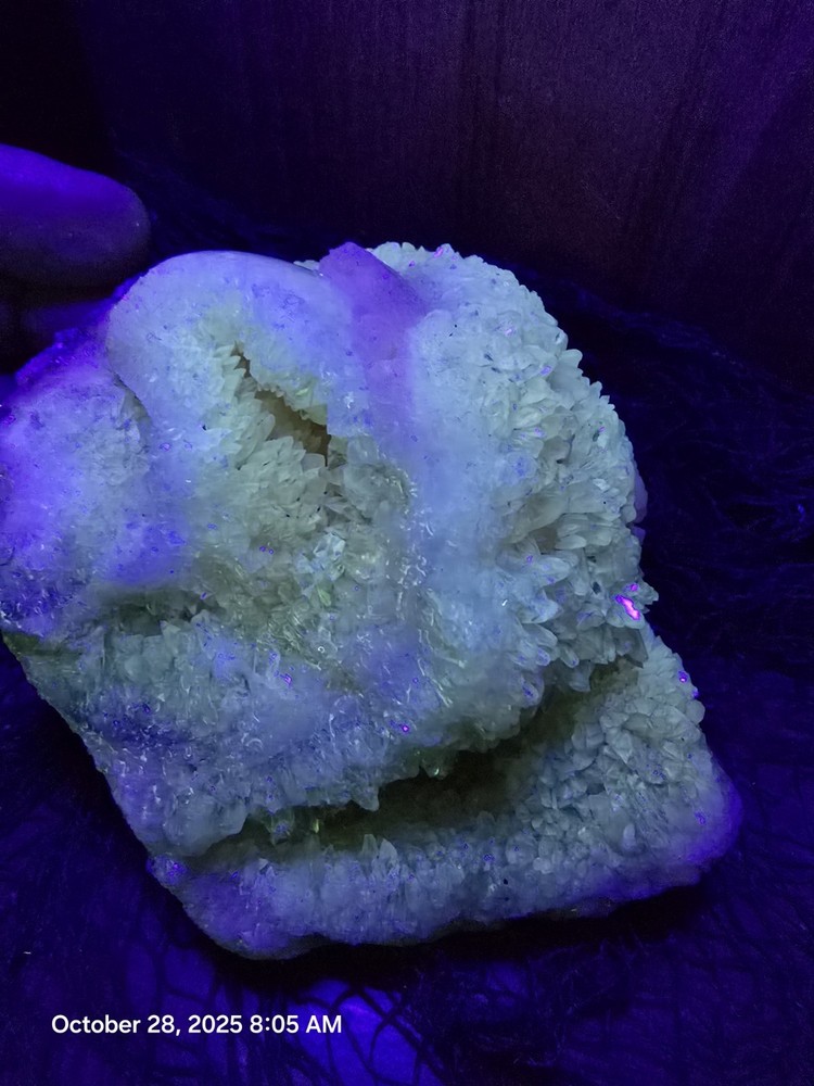 Crystal Shell Calcite Filled 1 million Yr+ Phosphorescent
