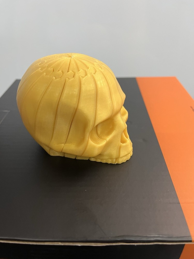 3D printed Articulated Skull