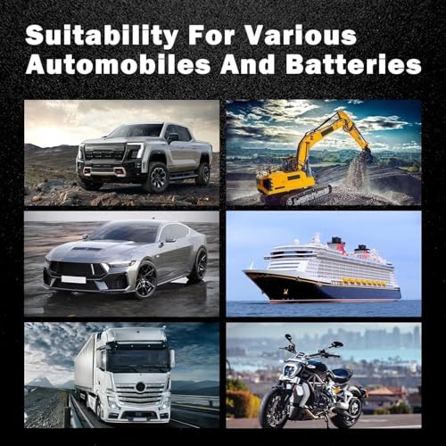 Multifunctional Car Circuit Tester Component Activation Electrical Tester 6 Red