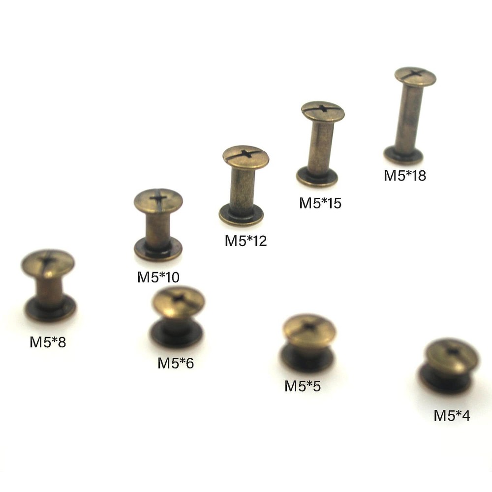 110 Sets Bronze Chicago Screws M5 Assorted Leather Rivets for DIY Bookbinding