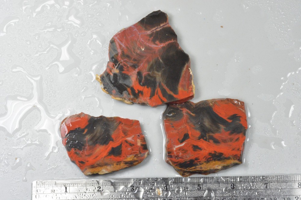 Petrified Wood, Circle Cliffs, Utah, 150 grams