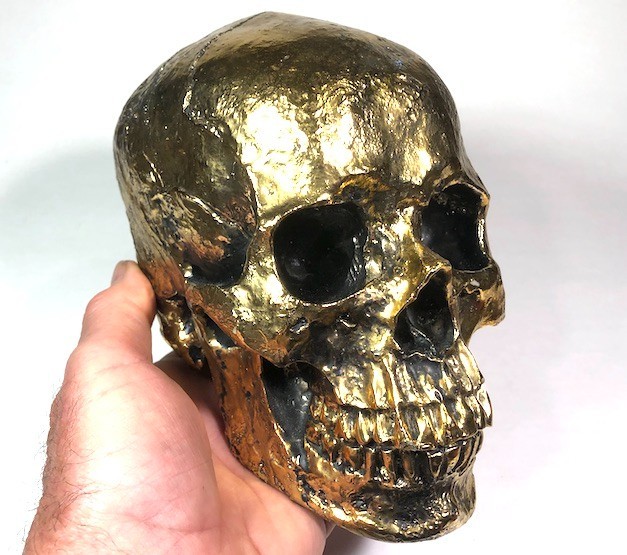Life Size Gold Human Skull - Composite Material - G1