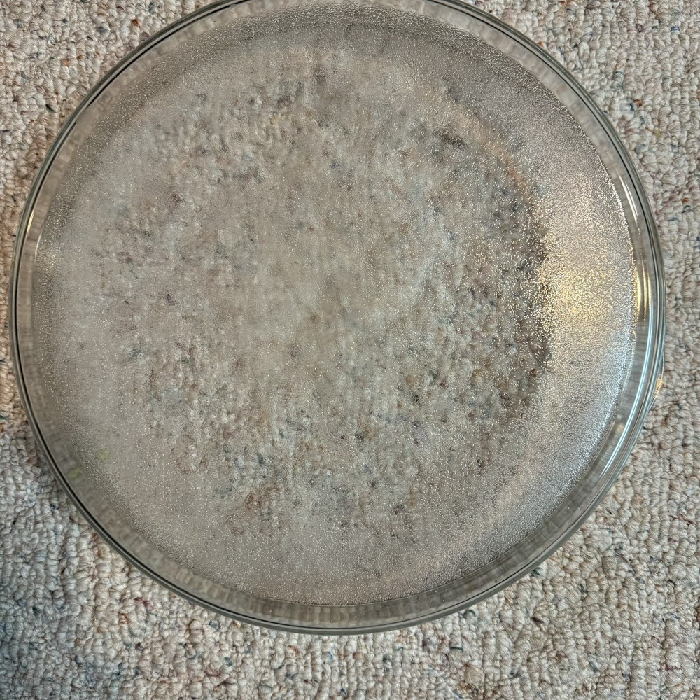 Thane Flavor Wave Deluxe Oven Replacement Part Glass Tray Bottom