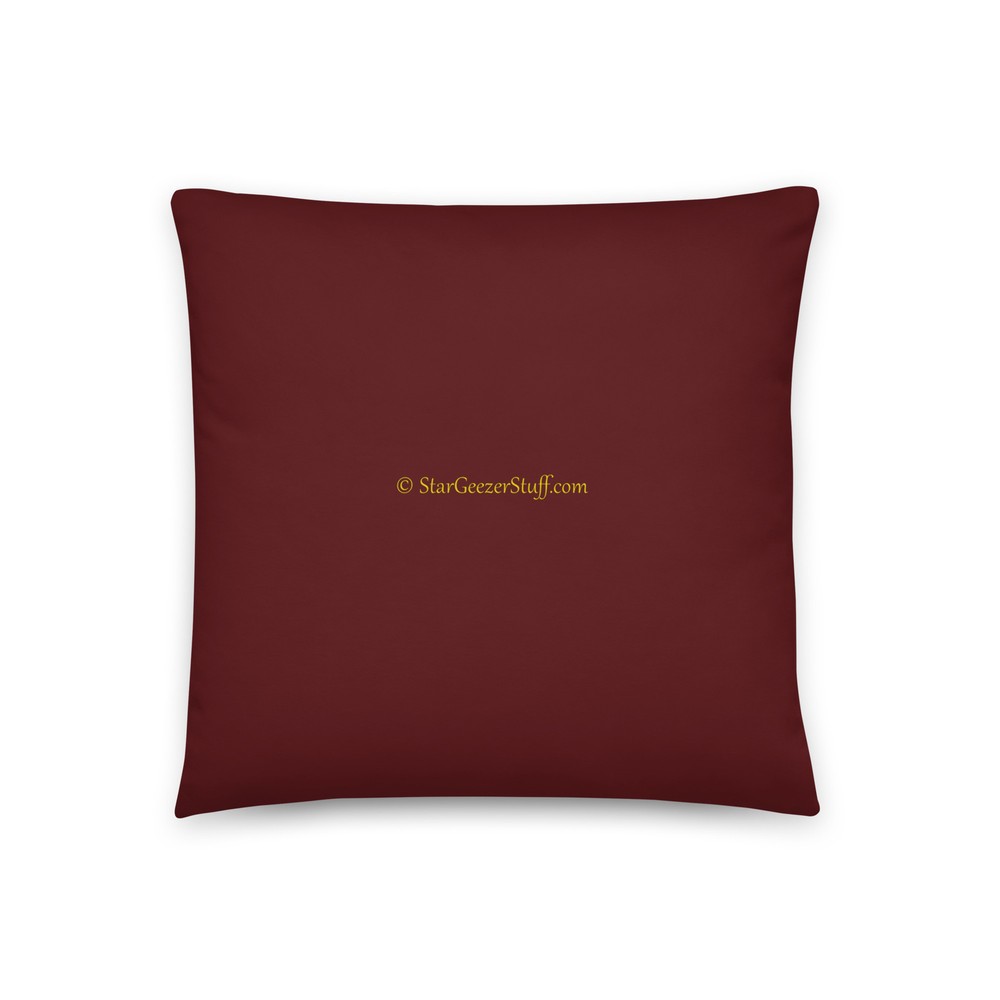 Chocolate and Astronomy Funny Pillow