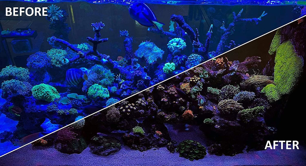 UV Coral Viewing Glasses