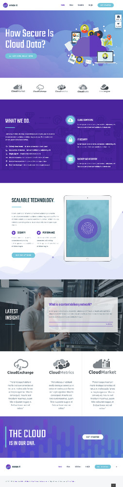Information Technology Website Design with Free VPS Web Hosting and Installation