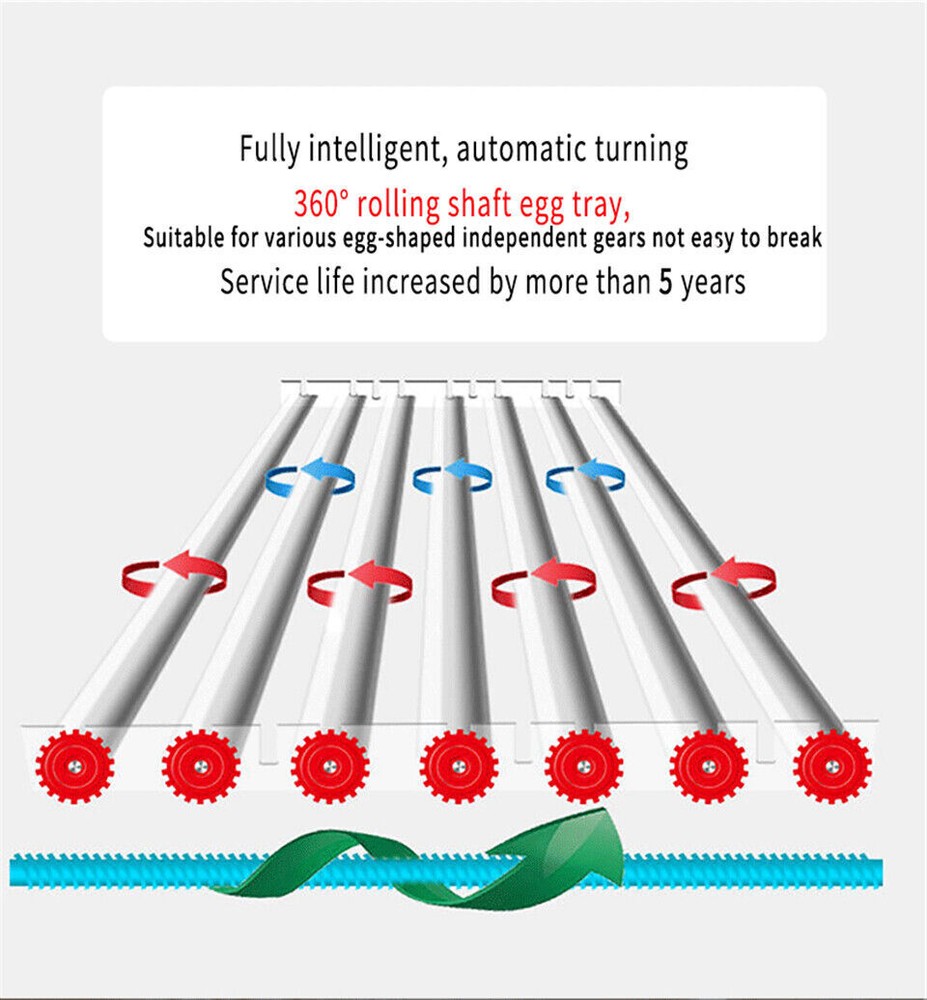 36 Eggs Incubator Chicken Incubators for Hatching Quail Automatic Egg Turning
