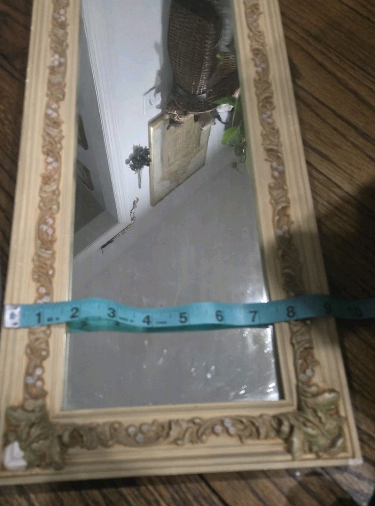 Antique Louis XVI Trumeau Wall Mirror